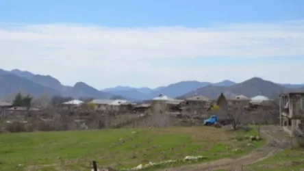 8 միլիոն դրամ վարկով գնած խոշոր եղջերավոր կենդանիների մեծ մասը Վայոց ձորում ադրբեջանական զինծառայողները հափշտակել ու չեն վերադարձել