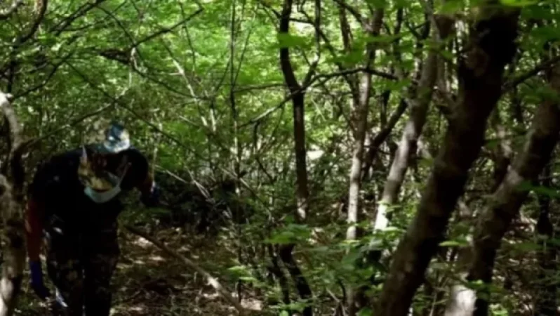 Հայտնաբերվել է ևս 2 հայ զինծառայողի աճյուն