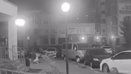 ՏԵՍԱՆՅՈՒԹ. «Հայրիկ խնդրում եմ». ինչպես է տղան փրկում մորը՝ հոր ճիրաններից