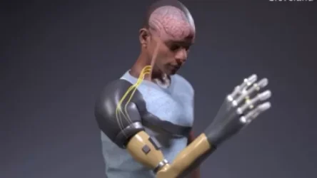 ՏԵՍԱՆՅՈՒԹ. Պրոթեզ, որը կունենա իրական ձեռքի զգայունություն