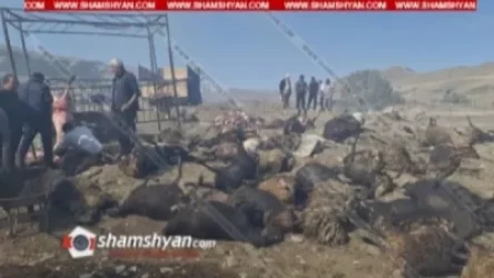 Նոր Խաչակապ գյուղում խոշոր հրդեհի հետևանքով մոտ 300 գառ սատկել է