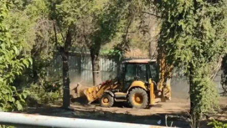 ՏԵՍԱՆՅՈՒԹ․ Հենց հիմա ջարդում ու վերացնում են ծառերը, կանաչ տարածքը․ ահազանգ