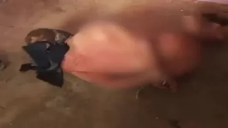 21+. ՏԵՍԱՆՅՈՒԹ. Սիրիայի ազգային բանակի անդամները դաժանաբար տանջում են քաղաքացուն` Facebook-ում իրենց քննադատելու համար