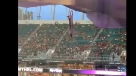 Ամերիկացի երկրպագուները փրկել են կատվին՝ Մայամիում սպորտային հանդիպման ժամանակ