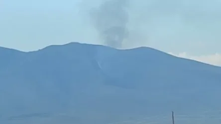 Հրդեհ՝ Արա լեռան լանջին. 3 մարտական հաշվարկ դեպքի վայր է մեկնել