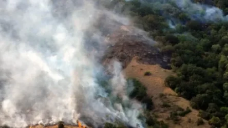Անտառային հրդեհ՝ Մեղրիում. համայնքապետարանը օգնության կոչով է հանդես եկել
