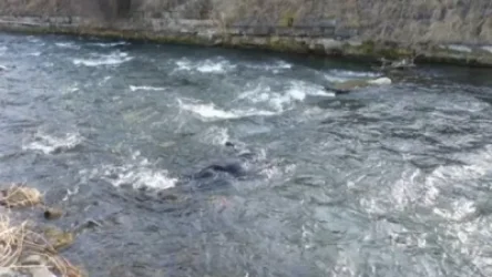 Մառնեուլում ադրբեջանցու ոտքերին կապելով ծանր բեռ, նետել են ջրանցքը