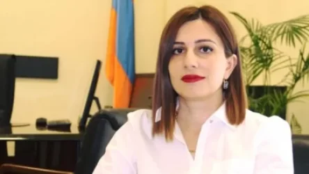 Սահմաններ կա, որ չի կարելի հատել. Ավանեսյանի հայտարարությունը