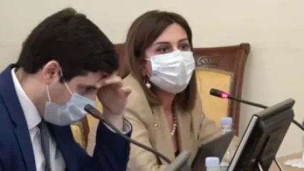 Մեր հիվանդանոցները շարունակում են ընդունել մեծ թվով հղիների, ովքեր ունեն թոքաբորբ ու գրանցեցինք մահ․ Ավանեսյան