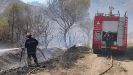 ՏԵՍԱՆՅՈՒԹ․ Իրանից հրշեջներ են եկել օգնելու հայ գործընկերներին․ «Արևիկ» պարկի հրդեհը դեռ մարված չէ