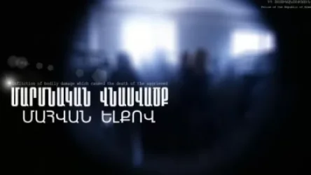 Կենցաղային վիճաբանության պատճառով` մահացու հարված է հասցրել համաքաղաքացու գլխին