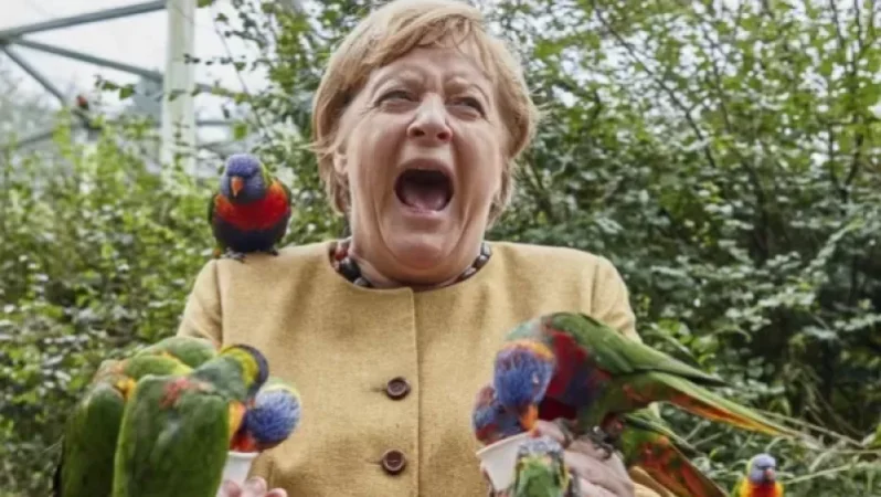 ՕՐՎԱ ԿԱԴՐ․ Ագրեսիվ թութակն ընդդեմ Անգելա Մերկելի