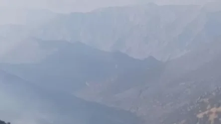 «Արևիք» ազգային պարկում հրդեհաշիջման աշխատանքները վերսկսվել են