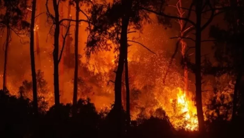 Ներգրավվել են 2 ինքնաթիռ, 8 ուղղաթիռ. Թուրքիայում կրկին անտառային հրդեհ է բռնկվել