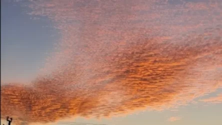 ՏԵՍԱՆՅՈՒԹ. Հայոց երկինքն` այսօր. մեր հրեշտակներն երկնքում են ու խաղաղ շարժվում են դեպի լուսավոր անվերջություն