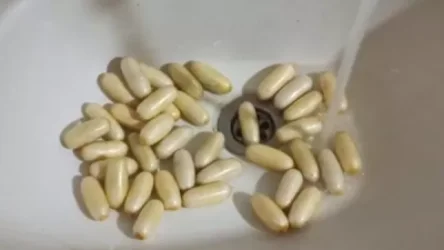 ՏԵՍԱՆՅՈՒԹ․ Բրազիլիացին  ստամոքսում պահելու եղանակով Հայաստան է տեղափոխել «կոկաին» թմրանյութ․ ՊԵԿ