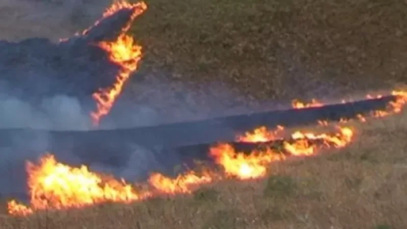 Ադրբեջանցիները սկսել են հրկիզել արոտները․ Այրքի ղեկավար