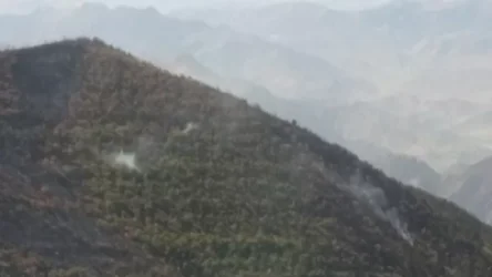 Հաջողվել է մարել «Արևիկ» ազգային պարկի հրդեհը