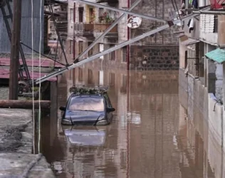 Աղետի գոտում համաճարակի ռիսկ կա տիղմի և սատկած կենդանիների պատճառով. նախարար