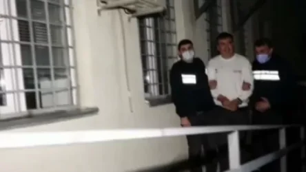 ՏԵՍԱՆՅՈՒԹ. Հրապարակել Է Վրաստանի նախկին նախագահ Միխայիլ Սահակաշվիլիի ձերբակալության կադրերը