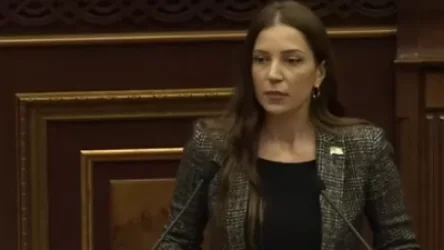 ՏԵՍԱՆՅՈՒԹ․ Մեր հայրենակիցները առևանգվում էին ճանապարհից և մինչ այսօր պարզ չէ, թե ո՞վ է այդ ամենի պատասխանատուն