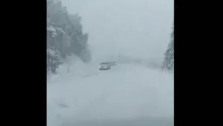 ՏԵՍԱՆՅՈՒԹ՝ ձնառատ Դիլիջանից