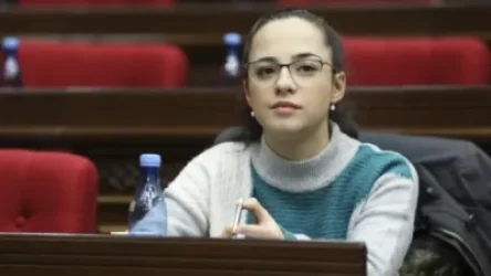 Ադրբեջանական կողմը պետք է հարկ վճարած լինի. քաղավիացիայի կոմիտեն լռում է. «Ժողովուրդ»