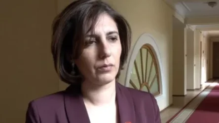 Ինչ է պատմում նախկին պատգամավոր Սոֆյա Հովսեփյանը պատերազմի օրերին իր Սյունիք կատարած այցից