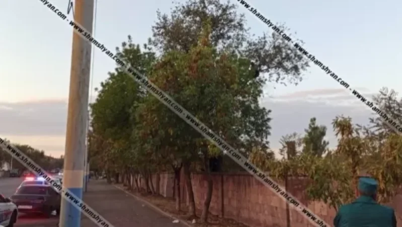 Քաղաքացին բարձրացել է ծառը և սպառնում է պատառաքաղով վնասել իրեն, մեծ թվով փրկարարներ են ժամանել