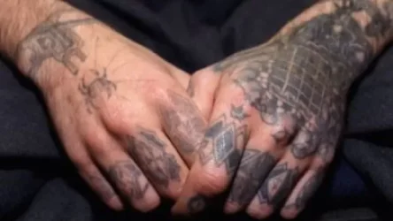 «Զոն նայող», «օրենքով գող»  լինելու մեջ մեղադրվում է 48 անձ, 25-ին դատի են տվել