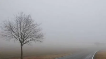 ԱԻՆ-ը տեղեկացնում է, թե որ ճանապարահատվածներում է մառախուղ