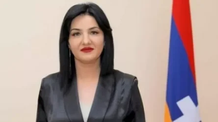 «Սա էլ կոչվում է, որ իրավիճակը վերահսկվում է, կրակոցն ուղիղ սրտին է եղել». Մետքասե Հակոբյան