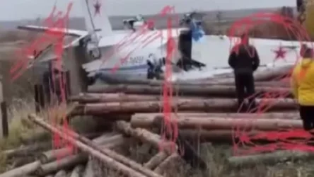 ՏԵՍԱՆՅՈՒԹ. Կա առնվազն 19 զոհ.  կործանված ինքնաթիռի վայրից տեսանյութ է հրապարակվել