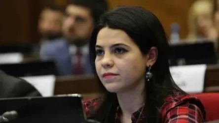 Վրացական կողմը խորացնում է ռազմական համագործակցությունը Հայաստանի հակառակորդների հետ․ պատգամավոր