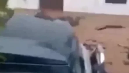 ՏԵՍԱՆՅՈՒԹ. Հունական Էվբիա կղզում հրդեհներից հետո ջրհեղեղ է սկսվել