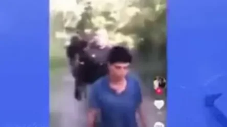 ՏԵՍԱՆՅՈՒԹ․ Ինչպես են միգրանտներ տեղափոխում ԱՄՆ և ապօրինի հատում սահմանը