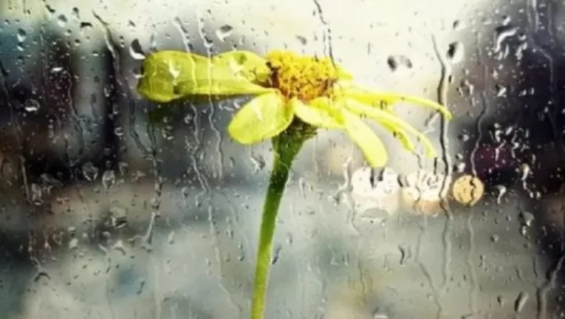 Օդի ջերմաստիճանը կնվազի