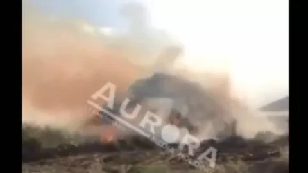 Հրշեջները Երասխում են, այս պահին կրակոցներ չկան.  Ռադիկ Օղիկյան