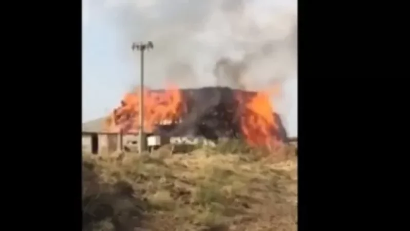 Երասխում թշնամու կրակոցից բռնկված հրդեհից մոտ 8000 հակ անասնակեր է այրվել