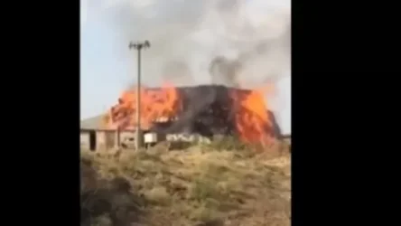 Երասխում թշնամու կրակոցից բռնկված հրդեհից մոտ 8000 հակ անասնակեր է այրվել