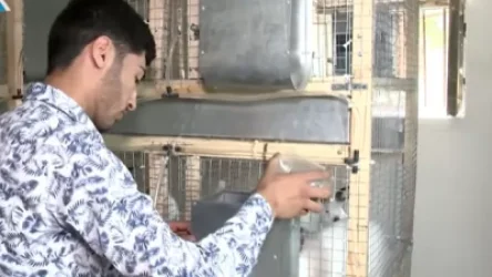 ՏԵՍԱՆՅՈՒԹ․ Բավական է կենաց խմել, պետք է գործով օգնել․ վիրավորում ստացած Էրիկը սեփական բիզնեսն է հիմնել