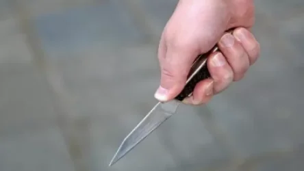 ՏԵՍԱՆՅՈՒԹ. Վեճի ժամանակ մահակով խփել էր տղամարդու գլխին, ապա դանակով՝ կրծքավանդակին