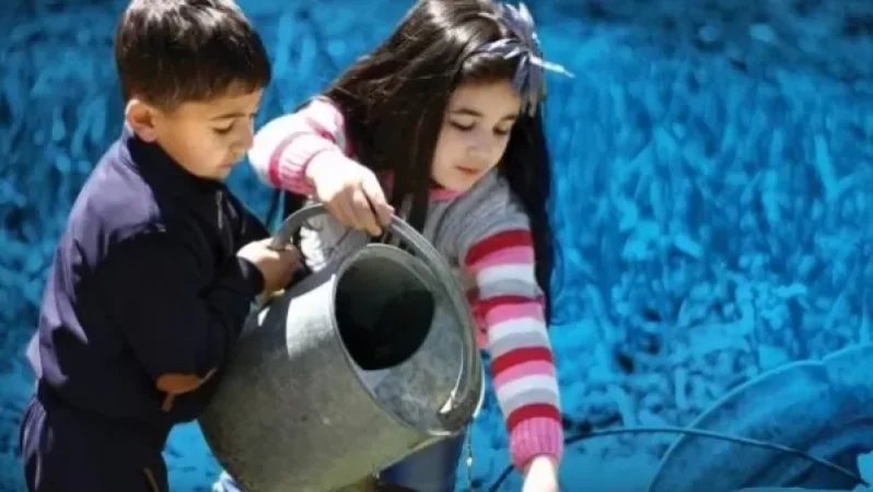 Հայկական դպրոցներում հնարավոր է առաջիկայում լոլիկ աճեցնել և վաճառել. ArmLur