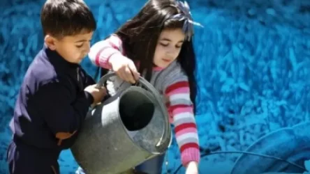 Հայկական դպրոցներում հնարավոր է առաջիկայում լոլիկ աճեցնել և վաճառել. ArmLur