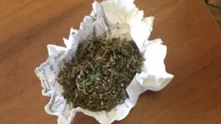 ՏԵՍԱՆՅՈՒԹ. Անչափահասի մոտ թմրանյութ է հայտնաբերվել