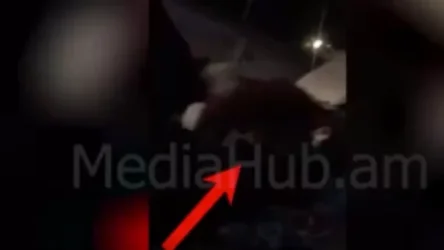 ՏԵՍԱՆՅՈՒԹ. Ոստիկանապետի ուշադրությունն եմ հրավիրում այս միջադեպի վրա. Թովմասյանը` գիշերվա միջադեպի մասին