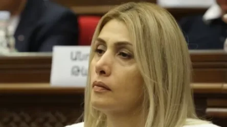 Լրատվամիջոցների տեսակետը չեն լսում, ասում են՝ մենք օրենքը կընդունենք, դուք էլ խելոք աշխատեք. Վարդանյան