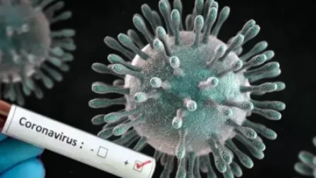 Կորոնավիրուսային հիվանդության ընթացքը Հայաստանում. 2354 նոր դեպք