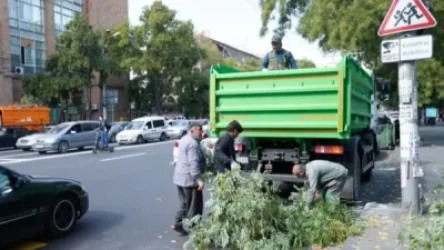 Երևանում մեկնարկել է ծառերի աշնանային էտը