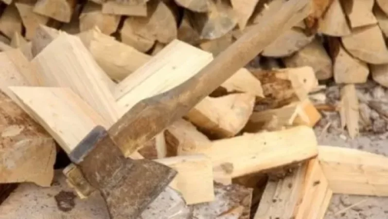 Փայտի և գոմաղբի գինը բարձրացել է. բնակիչները ջեռուցման այլըտրանքային տարբերակ են փնտրում. «Ժողովուրդ»